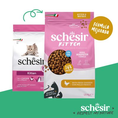 Schesir Kitten & Mother pienso seco, 1,5 kg, con pollo fresco, 36% de proteína, EPA+DHA, fórmula mejorada, fabricado en Italia.