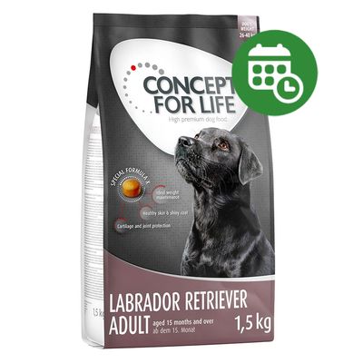 30% reducere! 2 x 1,5 kg Concept for Life Labrador Retriever Adult