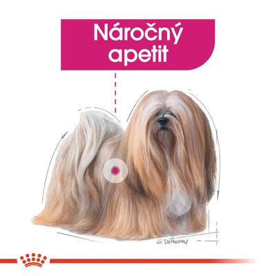 Ilustrace dlouhosrstého psa s textem „Náročný apetit“ v růžovém poli nahoře.