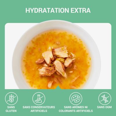 Schesir Cat Soup 12 x 40 g en sachets