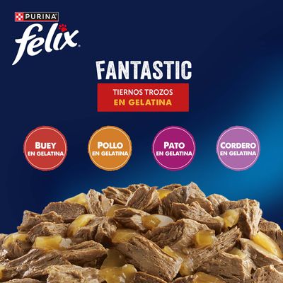 Purina Felix Fantastic, tiernos trozos en gelatina. Variedades: ternera en gelatina, pollo en gelatina, pato en gelatina, cordero en gelatina.