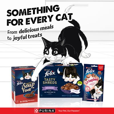 PURINA Felix Original Soup Time, Tasty Shreds és Crispies. Minden macskának kínálunk valamit: ízletes ételektől a vidám jutalomfalatokig.