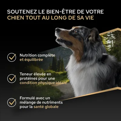 Soutenez le bien-être de votre chien : alimentation complète et équilibrée, teneur élevée en protéines pour une condition idéale, mélange de nutriments pour la santé.