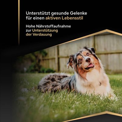 Unterstützt gesunde Gelenke für einen aktiven Lebensstil. Hohe Nährstoffaufnahme zur Unterstützung der Verdauung.