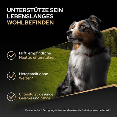 Unterstütze sein lebenslanges Wohlbefinden. Hilft, empfindliche Haut zu unterstützen. Hergestellt ohne Weizen. Unterstützt gesunde Gelenke und Zähne. Hinweis: Produktion auf Linien mit Getreide.