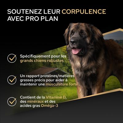 Pro Plan soutient les grands chiens robustes grâce à un équilibre optimal entre protéines et matières grasses, à la vitamine D, aux minéraux et aux acides gras oméga-3 pour une musculature forte.