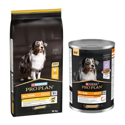 PURINA PRO PLAN Toutes tailles Adulte 1+ Croquettes et nourriture humide, riche en protéines, ingrédient n°1 : poulet, sans colorants, sac de 16 kg et boîte illustrés.