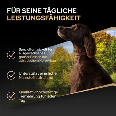 Für seine tägliche Leistungsfähigkeit. Speziell entwickelt für ausgewachsene Hunde großer Rassen mit athletischem Körperbau, unterstützt hohe Nährstoffaufnahme, hochwertige Tiernahrung.