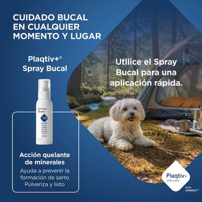 Plaqitv+ Spray Bucal con efecto quelante mineral, ayuda a prevenir el sarro dental. Aplicación rápida en cualquier lugar.