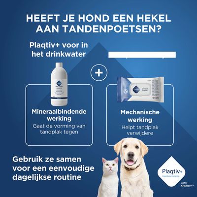 Plaqtiv+ voor drinkwater en Dental Wipes. Mineralbindende werking tegen tandplak, mechanische werking helpt tandplak te verwijderen. Voor een eenvoudige dagelijkse routine.