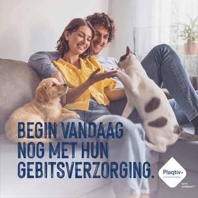 Begin vandaag nog met hun gebitsverzorging. Plaqtiv+ mondverzorging met XPERSIV.