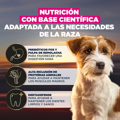 Nutrición basada en la ciencia, adaptada a la raza. Con prebióticos y pulpa de remolacha para una digestión saludable, proteínas animales para los músculos, Dentadefense para dientes limpios.
