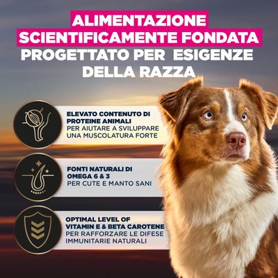 Alimentazione basata su principi scientifici, progettata per le esigenze specifiche della razza. Alto contenuto di proteine animali, fonti naturali di Omega 6 & 3, livello ottimale di vitamina E & beta-carotene.