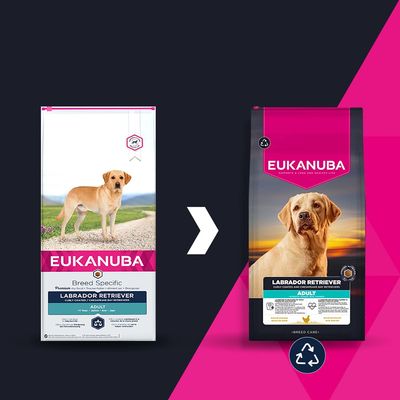 Eukanuba Labrador Retriever Adult: Изображението показва промяна на опаковката от стара към нова версия, и двете с изображение на куче и името на продукта. Символ за рециклиране в долния десен ъгъл.