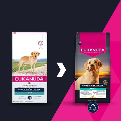 Eukanuba Labrador Retriever Adult: Изображението показва промяна на опаковката от стара към нова версия, и двете с изображение на куче и името на продукта. Символ за рециклиране в долния десен ъгъл. Eukanuba Labrador Retriever Adult: Изображението показва промяна на опаковката от стара към нова версия, и двете с изображение на куче и името на продукта. Символ за рециклиране в долния десен ъгъл.