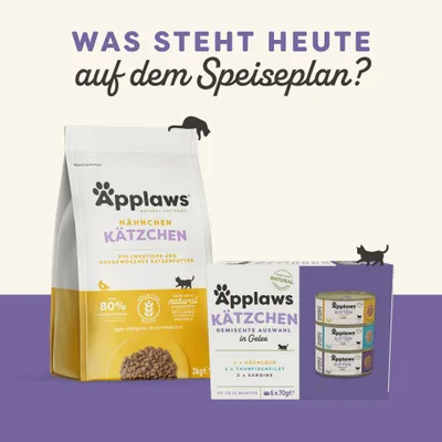 Applaws Hähnchen Kätzchen Trockenfutter 2kg und Applaws Kätzchen gemischte Auswahl in Gelee, 6x70g. Vollwertiges, ausgewogenes Katzenfutter mit natürlichen Zutaten. Applaws Hähnchen Kätzchen Trockenfutter 2kg und Applaws Kätzchen gemischte Auswahl in Gelee, 6x70g. Vollwertiges, ausgewogenes Katzenfutter mit natürlichen Zutaten.