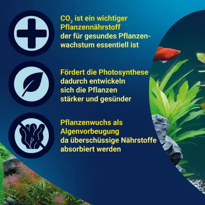 CO2 ist ein wichtiger Pflanzennährstoff, fördert die Photosynthese und Pflanzenwuchs, beugt Algen vor, da überschüssige Nährstoffe absorbiert werden. CO2 ist ein wichtiger Pflanzennährstoff, fördert die Photosynthese und Pflanzenwuchs, beugt Algen vor, da überschüssige Nährstoffe absorbiert werden.