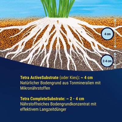 Tetra ActiveSubstrate: ca. 4 cm, natürlicher Bodengrund aus Tonmineralien mit Mikronährstoffen. Tetra CompleteSubstrate: 2-4 cm, nährstoffreiches Bodengrundkonzentrat mit Langzeitdünger.