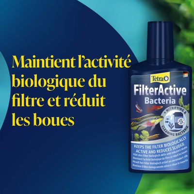 Tetra FilterActive Bactéries. Maintient le filtre biologiquement actif et réduit les dépôts de boue.