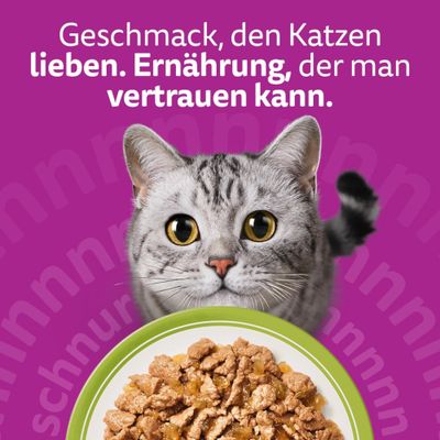 Whiskas 1+ Adult Frischebeutel 40 x 85 g - Mixed Menu in Gelee (4 Sorten)