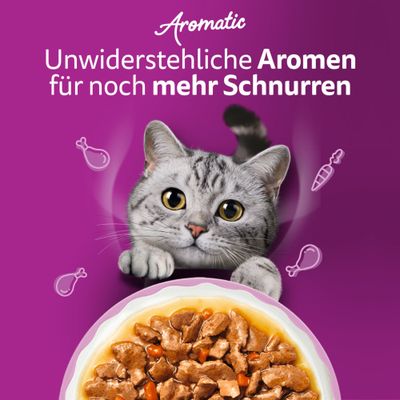 Aromatic. Unwiderstehliche Aromen für noch mehr Schnurren. Bild einer Katze und Schale mit Nassfutter, umgeben von Icons für Fleisch und Gemüse.