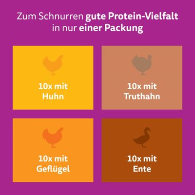 Whiskas Junior Frischebeutel 40 x 85 g - Geflügel in Gelee (4 Sorten gemischt)