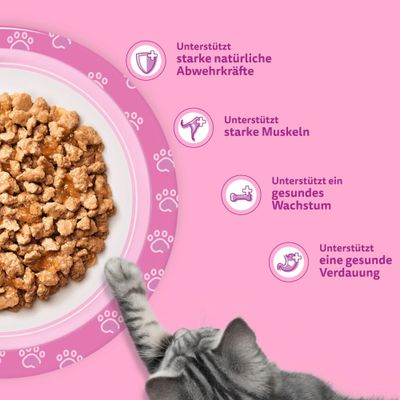 Unterstützt starke natürliche Abwehrkräfte, starke Muskeln, gesundes Wachstum und eine gesunde Verdauung. Futterschale mit Katzenfutter und Katze sichtbar.