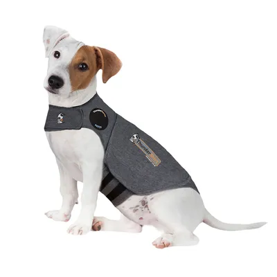 Hond draagt grijs ThunderShirt-vest met zichtbaar logo en patch. Product voor het kalmeren van honden bij stress of angst.