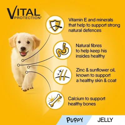VITAL PROTECTION. Vitamin E and minerals, natural fibres, zinc & sunflower oil, calcium. Puppy JELLY. Tekst på engelsk om støtte til immunforsvar, fordøjelse, hud/pels og knogler.