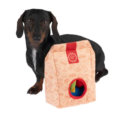 Câine lângă geantă de jucării Doggy BBQ cu orificiu de intrare roșu și model cu simboluri alimentare.