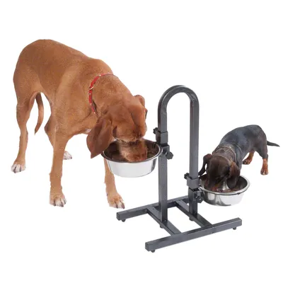 Two dogs eating from height-adjustable stainless steel bowls on a sturdy metal stand.