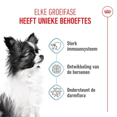 Royal Canin X-small Puppy - Dubbelpak: 2 x 3 kg