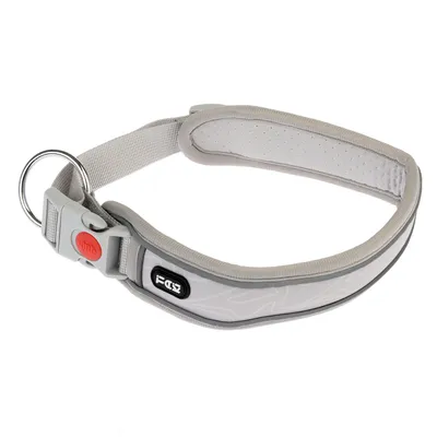 Collare per cani grigio con elementi rifrangenti, bottone di chiusura rosso e anello in metallo. Interno imbottito per comfort.