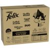 Felix Le Ghiottonerie in Gelatina 80 x 85 g umido gatto Doppia Delizia Selezione di Campagna