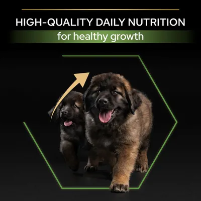 HIGH-QUALITY DAILY NUTRITION for healthy growth felirat, két kölyökkutya képe zöld hatszögben, felfelé mutató sárga nyíllal