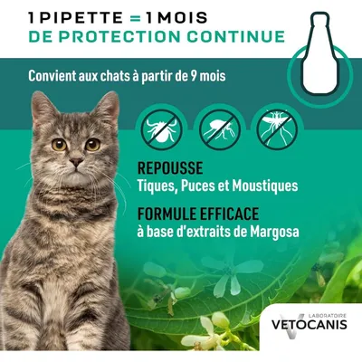 Répulsif anti-puces et tiques Vetocanis Spot-On pour chat - 4 pipettes x 1,2 ml