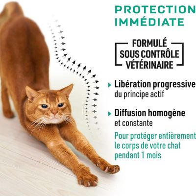 Vetocanis Anti-Parasitaire pour chats. Protection contre les tiques, puces et moustiques. Format Éco : 4x1 mois pipettes, >9 mois de protection. Formulé sous contrôle vétérinaire. Fabriqué en France.