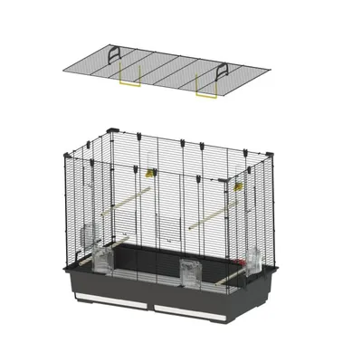 Cage pour oiseaux en métal avec base en plastique, deux perchoirs en bois, quatre mangeoires transparentes et couvercle amovible grillagé avec poignées visibles.