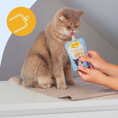 GimCat Pudding