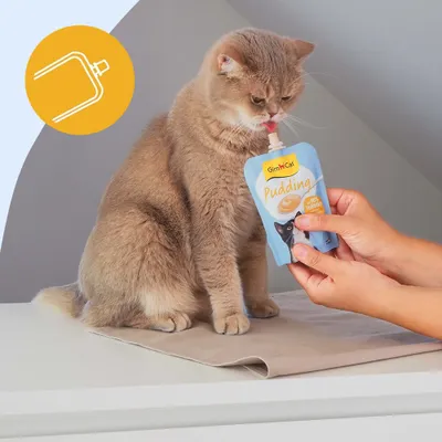 GimCat Pudding natillas para gatos - Con queso (6 x 100 g) - Pack Ahorro