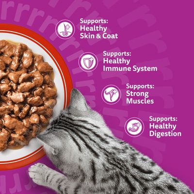Whiskas 1+ Meaty Meals in Gravy