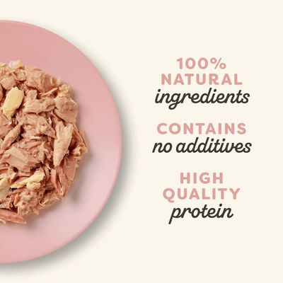 Applaws kattefoder, tunfiskefilet med reje i bouillon, 48 dåser à 70g, 100% naturlige ingredienser, Certified B Corporation.