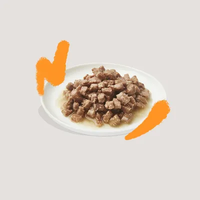 Bord met natvoer in blokjes en gelei, geschikt als huisdiervoeding. Geen merknaam of verpakking zichtbaar.