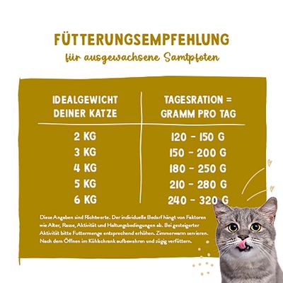 Fütterungsempfehlung für ausgewachsene Katzen: 2 kg 120-150 g, 3 kg 150-200 g, 4 kg 180-250 g, 5 kg 210-280 g, 6 kg 240-320 g. Hinweise zur Anpassung und Lagerung.