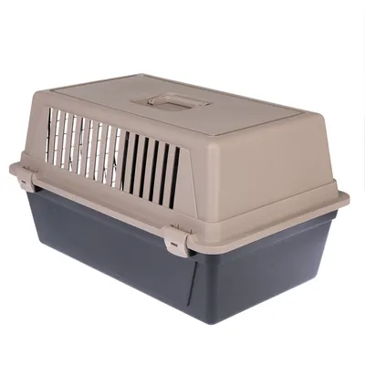 Caisse de transport en plastique rigide avec poignée sur le dessus, grilles d’aération latérales et fermetures à clips visibles. Couleurs : beige et gris foncé.