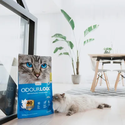 OdourLock Multi-Cat Formula kissanhiekka, pakkaus sinisellä etupuolella ja kissan kuvalla. Teksti: 40 päivää hajuton, pölytön, erittäin imukykyinen.