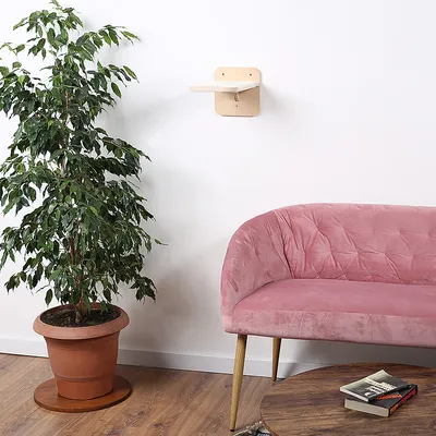 Wandmontierte Holzplattform mit Teppichauflage, geeignet für moderne Wohnräume. Abgebildet neben einem rosa Sessel und einer Zimmerpflanze.