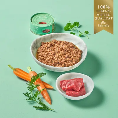 Terra Felis 24 x 80 g - Pollo