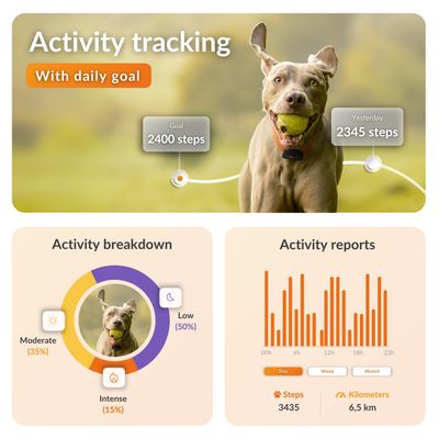 Weenect Pet GPS Dog Tracker XS - without Collar