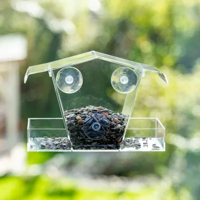 Transparent plastic bird feeder with suction cups for attaching to windows, filled with various seeds and grains.